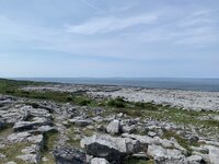 IMG_8559.jpeg