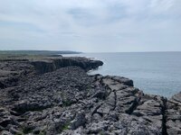 IMG_8574.jpeg