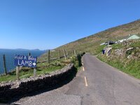 IMG_8704.jpeg