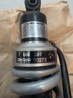 IMG_5636.jpeg