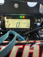 IMG_1163.jpeg