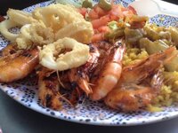 IMG_2534.jpeg IMG_2534.jpeg