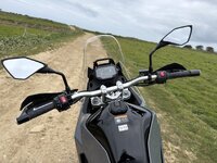 IMG_3124.jpeg
