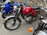 IMG_2847.jpeg
