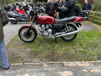 IMG_2849.jpeg