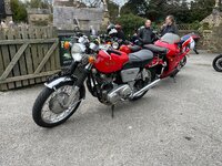 IMG_2850.jpeg