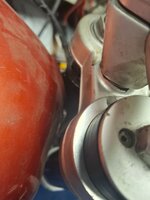 20260401_200117.jpg