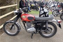 IMG_1695.jpeg