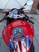 IMG_3004.jpeg