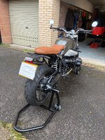 IMG_0611.jpeg