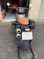 IMG_0622.jpeg