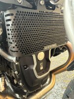 IMG_0595.jpeg