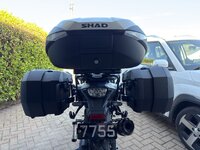 IMG_3163.jpeg
