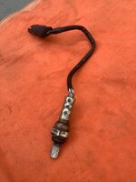 IMG_0625.jpeg