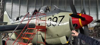 20260406_153820.jpg