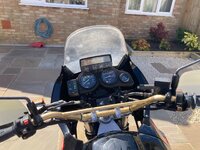 IMG_8746.jpeg IMG_8746.jpeg