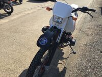 IMG_8877.jpeg IMG_8877.jpeg