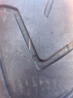 IMG_9647.jpeg