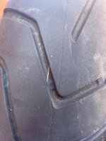 IMG_9646.jpeg