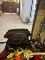 IMG_2444.jpeg