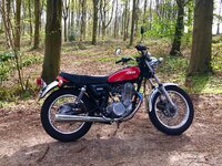 IMG_2716.jpeg