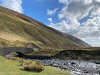 IMG_1590.jpeg