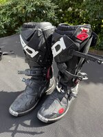 IMG_8405.jpeg