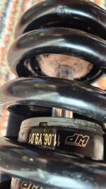 IMG_8489.jpeg