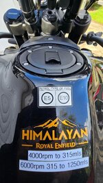 Himalayan - 3.jpeg
