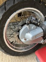 IMG_4807.jpeg IMG_4807.jpeg