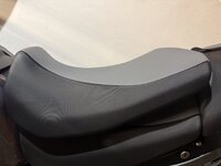 IMG_3521.jpeg IMG_3521.jpeg