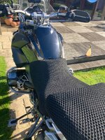 IMG_7581.jpeg