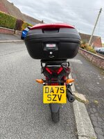 IMG_2124.jpeg
