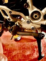 IMG_0113.jpeg