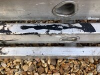 IMG_1969.jpeg