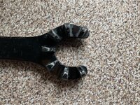 IMG_8536.jpeg