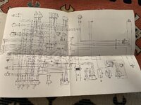 IMG_8534.jpeg