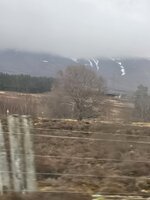 20260417_095601.jpg