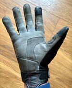 IMG_2952.jpeg