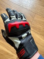 IMG_2951.jpeg