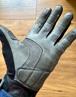 IMG_2950.jpeg