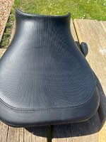 IMG_3545.jpeg