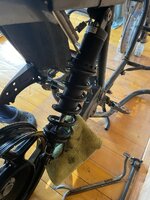 IMG_4453.jpeg IMG_4453.jpeg