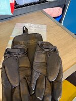 IMG_1061.jpeg