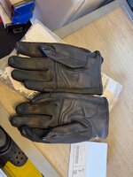 IMG_1063.jpeg