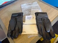 IMG_1065.jpeg