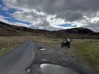 IMG_7311.jpeg IMG_7311.jpeg