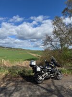 IMG_7317.jpeg IMG_7317.jpeg