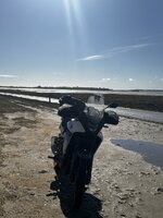 IMG_2856.jpeg