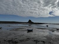 IMG_2866.jpeg